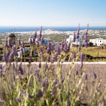 Apartment Naxos View *